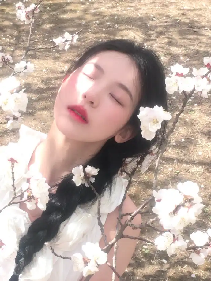 陈冠希事件数据对比